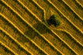 Beauty and patterns of a cultivated farmland in Slovakia from above.