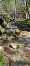 Beauty and peace mountain stream