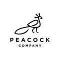 Beauty peacock logo design artwork vector on trendy linear art style, Royalty Free Stock Photo