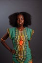 Beauty photo of young elegant african american woman with afro. Girl wearing pearls. Looking at camera. Glamour makeup Royalty Free Stock Photo