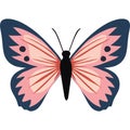 beauty pink butterfly with wings open