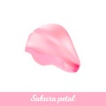 Beauty pink sakura petal