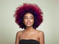 Beauty portrait of African American girl with afro hair Royalty Free Stock Photo