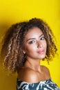 Beauty portrait of young african american girl with afro hairstyle. Girl posing on yellow background, looking at camera. Royalty Free Stock Photo