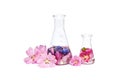 Beauty product in a bottle natural cosmetics, herbal organic extract from flower petals. Scientific experiment. Hand cosmetics