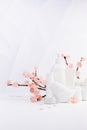 Beauty products for makeup, skin care - cream, lotion in white bottles, branch of spring pink sakura flowers, toiletry, modern.