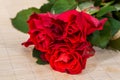 beauty red roses on wooden desk. Royalty Free Stock Photo