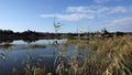 The beauty of the reservoirs of Israel. Lake in Rishon Lyceon. Royalty Free Stock Photo