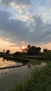 The beauty of the rice fields as the sun begins to set Royalty Free Stock Photo