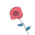 Beauty rose flower one continuous line drawing minimalism vector illustration Royalty Free Stock Photo