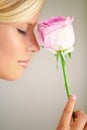 Beauty and the rose. Profile of a young woman holding a pink rose against her nose. Royalty Free Stock Photo