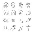 Beauty salon body parts line icon set. Included the icons as face, hair, eye, breasts, hand, hips, and more.