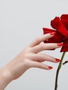 Beauty salon. Delicate hands with manicure holding pink flower Royalty Free Stock Photo