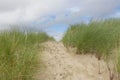 The beauty of sandunes Royalty Free Stock Photo