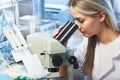 Beauty scientist Looks in microscope in chemical laboratory