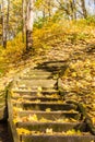 Forest stairs covered with gold autumn leaves Royalty Free Stock Photo