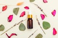 Beauty. Serum and Dry herbs. Skin care.  Healthy lifestyle Royalty Free Stock Photo