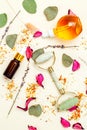 Beauty. Serum and Dry herbs. Skin care.  Healthy lifestyle. Vertical Royalty Free Stock Photo
