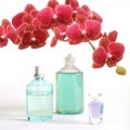 Beauty set with red orchid Royalty Free Stock Photo