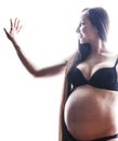 Beauty brunette pregnant woman isolated black and white portrait, tenderness people concept Royalty Free Stock Photo