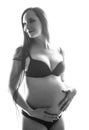 Beauty brunette pregnant woman isolated black and white portrait, tenderness people concept Royalty Free Stock Photo