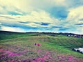 The beauty of Shillong ... clouds.. colours.. sky.. land.. green grass Royalty Free Stock Photo