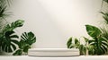 Beauty with side tree platform 3d render beautiful white podium