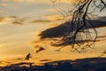 The beauty of the sky at sunset with silhouette as the background.