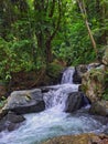 The beauty of a small waterfall amids the vibrant forest Royalty Free Stock Photo