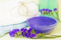 Beauty and spa concept with lavender Royalty Free Stock Photo