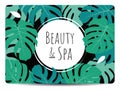 Beauty and spa saloon monstera leaves foliage banner