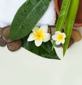 Beauty and spa set with stown and leaves Royalty Free Stock Photo