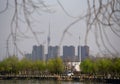 The beauty of spring on both sides of the Li Canal