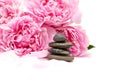 Beauty spring concept with flower and stones