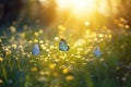 Beauty of spring with a field filled with blue butterflies and rays of sunshine, representing the renewal and revival of nature