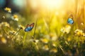 Beauty of spring with a field filled with blue butterflies and rays of sunshine, representing the renewal and revival of nature