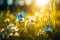 Beauty of spring with a field filled with blue butterflies and rays of sunshine, representing the renewal and revival of nature