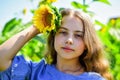 beauty of summer nature. little girl in sunflower field. yellow flower of sunflower. happy childhood. beautiful girl Royalty Free Stock Photo