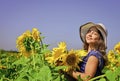 beauty of summer nature. little girl in sunflower field. yellow flower of sunflower. happy childhood. beautiful girl Royalty Free Stock Photo