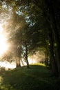 Beauty sun rays,autumn forest natural background suitable for desktops Royalty Free Stock Photo