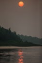 Beauty of Sundarbans mangroves and tiger reserve