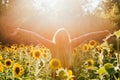 Beauty sunlit woman on yellow sunflower field Freedom and happiness concept Royalty Free Stock Photo