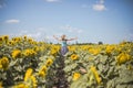 Beauty sunlit woman on yellow sunflower field Freedom and happiness concept. Happy girl outdoors Royalty Free Stock Photo