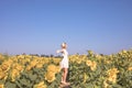 Beauty sunlit woman on yellow sunflower field Freedom and happiness concept. Happy girl outdoors Royalty Free Stock Photo