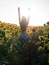 Beauty sunlit young woman on yellow sunflower field Freedom and happiness concept. Happy girl outdoors Royalty Free Stock Photo