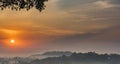 Beauty sunrise in rain forest misty morning Royalty Free Stock Photo