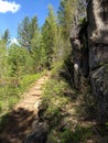 The beauty of taiga forests. Taiga mountains on the shores of Lake Baikal, Irkutsk. Siberia