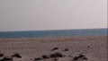 Beauty of Tamil Nadu. Dhanushkodi Image 18 sand and water