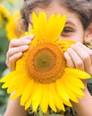 Beauty teen girl with sunflower Royalty Free Stock Photo