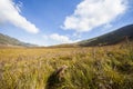 The beauty of Teletubbies Hill, a vast savanna landscape, one of the tourist destinations in the Bromo Mountain, Indonesia.